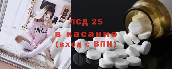 apvp Алзамай