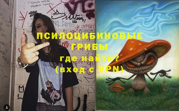 apvp Алзамай